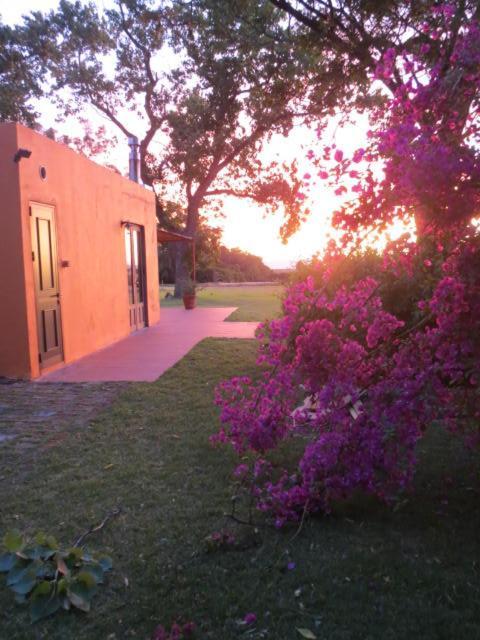 La Casona De San Pedro Villa Colonia del Sacramento Kültér fotó